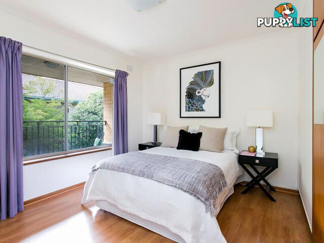 7/42 Le Hunte Street WAYVILLE SA 5034