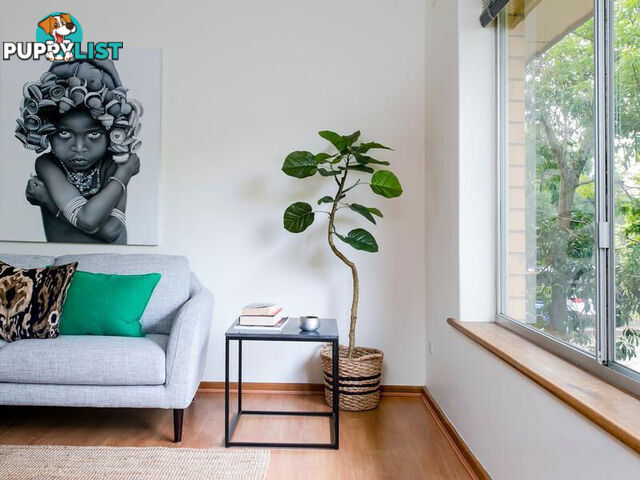 7/42 Le Hunte Street WAYVILLE SA 5034