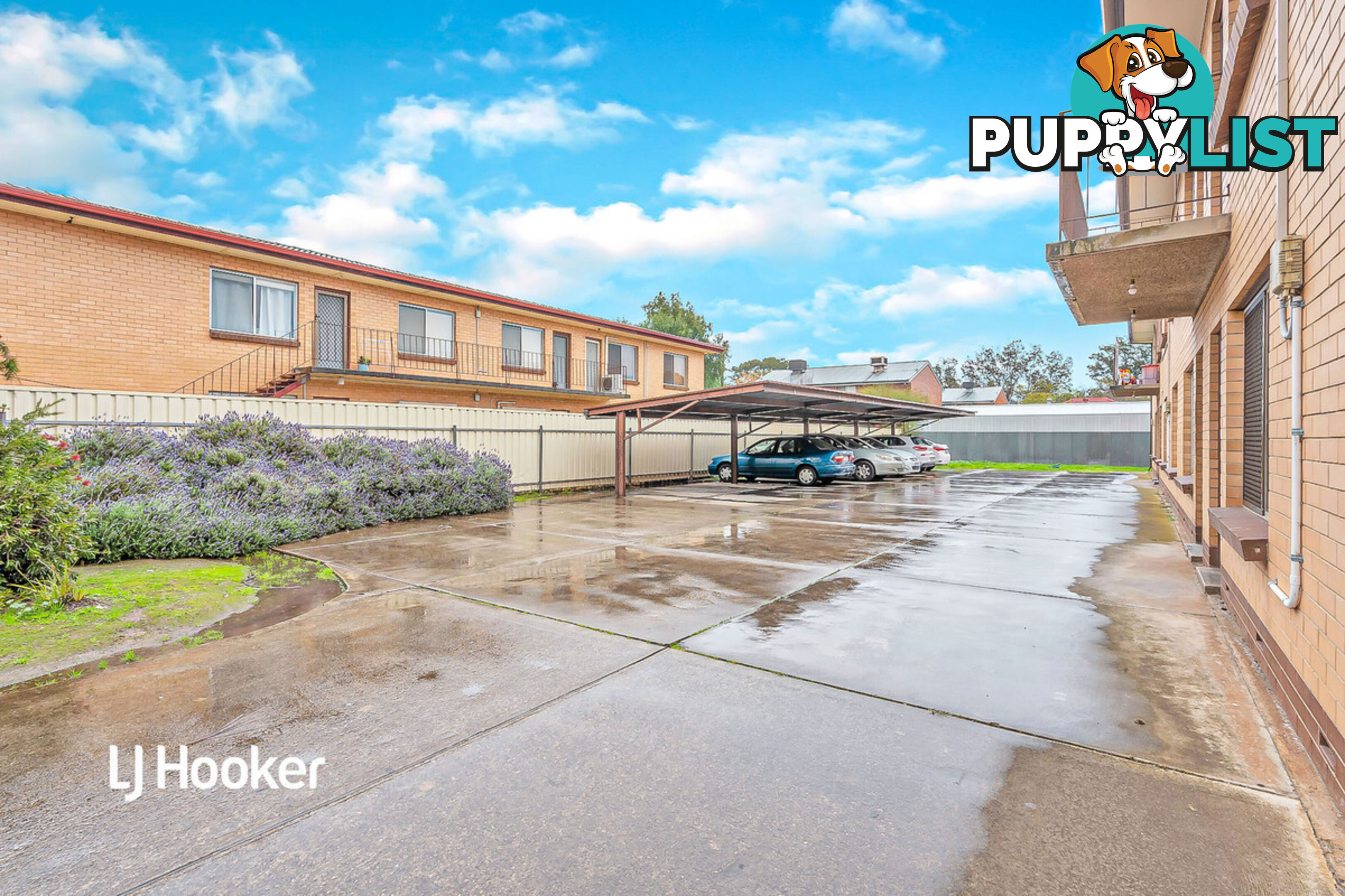 6/156 Churchill Road PROSPECT SA 5082