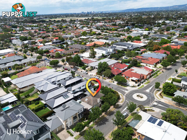 20 Filmer Avenue GLENGOWRIE SA 5044