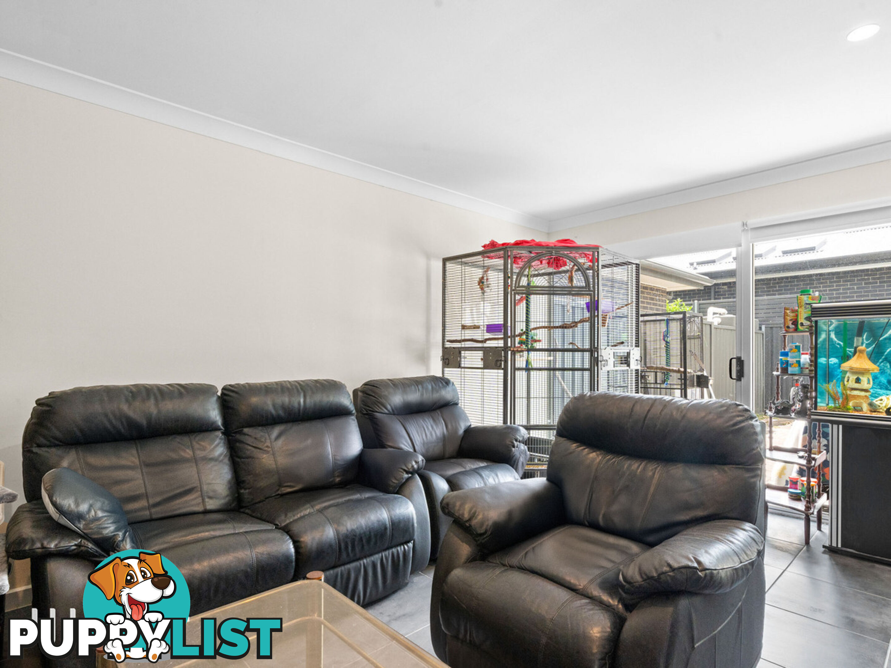 20 Filmer Avenue GLENGOWRIE SA 5044