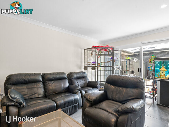 20 Filmer Avenue GLENGOWRIE SA 5044