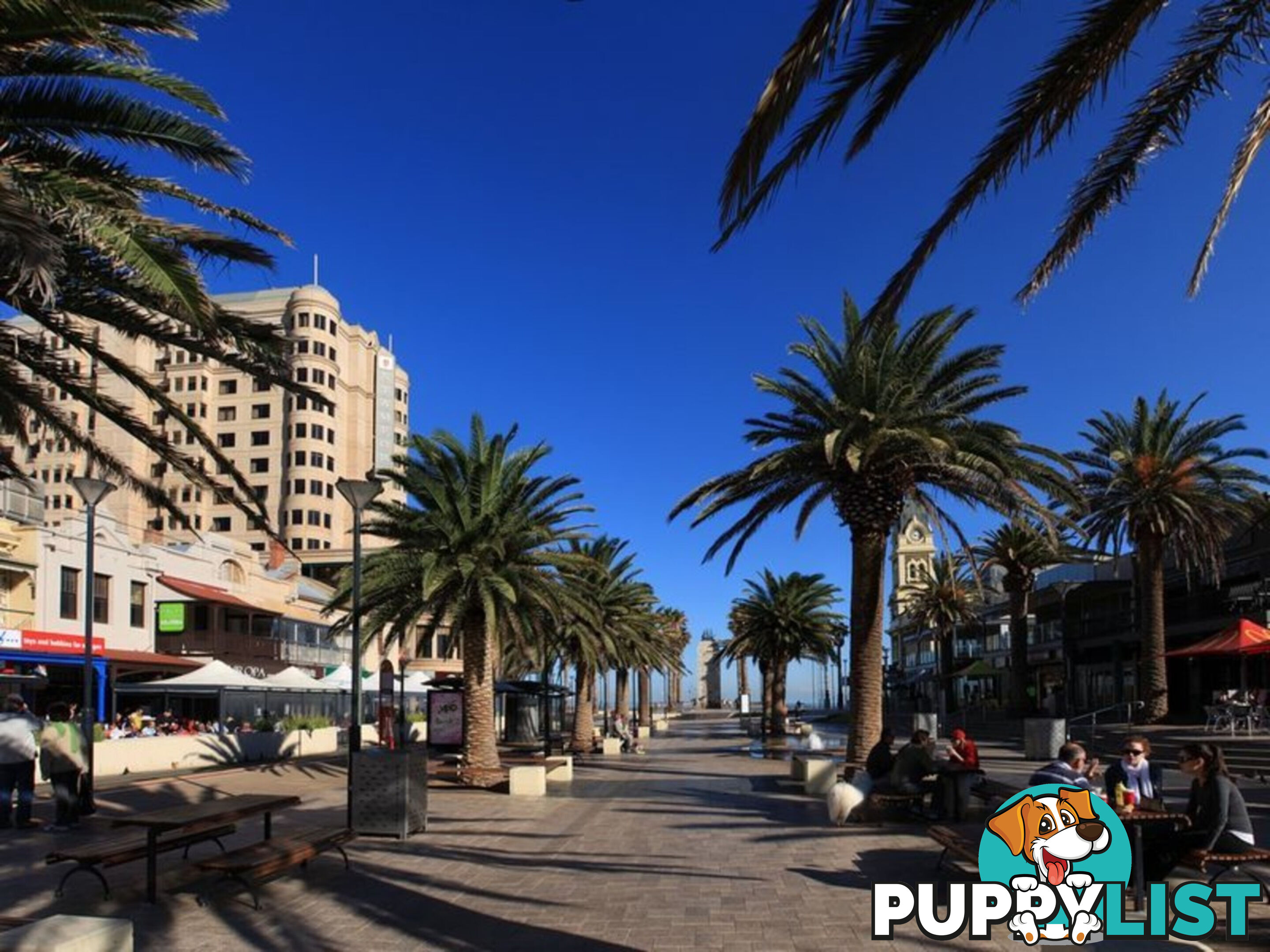 11/8-10 Robert Street GLENELG SOUTH SA 5045