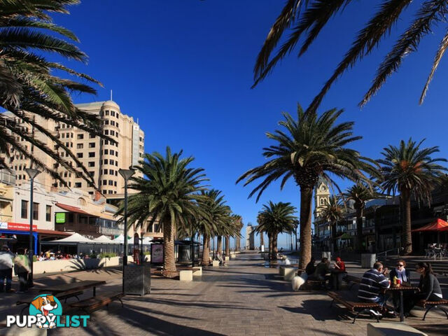 11/8-10 Robert Street GLENELG SOUTH SA 5045