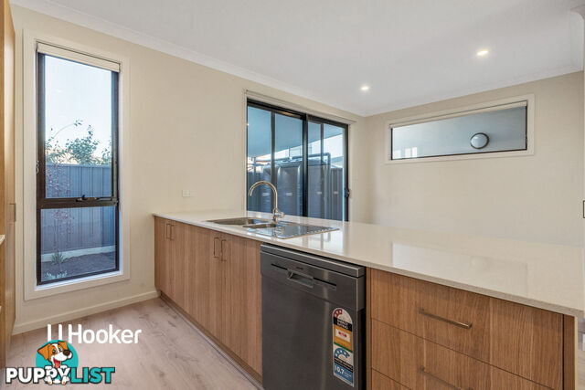 6 Pine Street CAMPBELLTOWN SA 5074