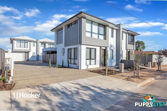 6 Pine Street CAMPBELLTOWN SA 5074