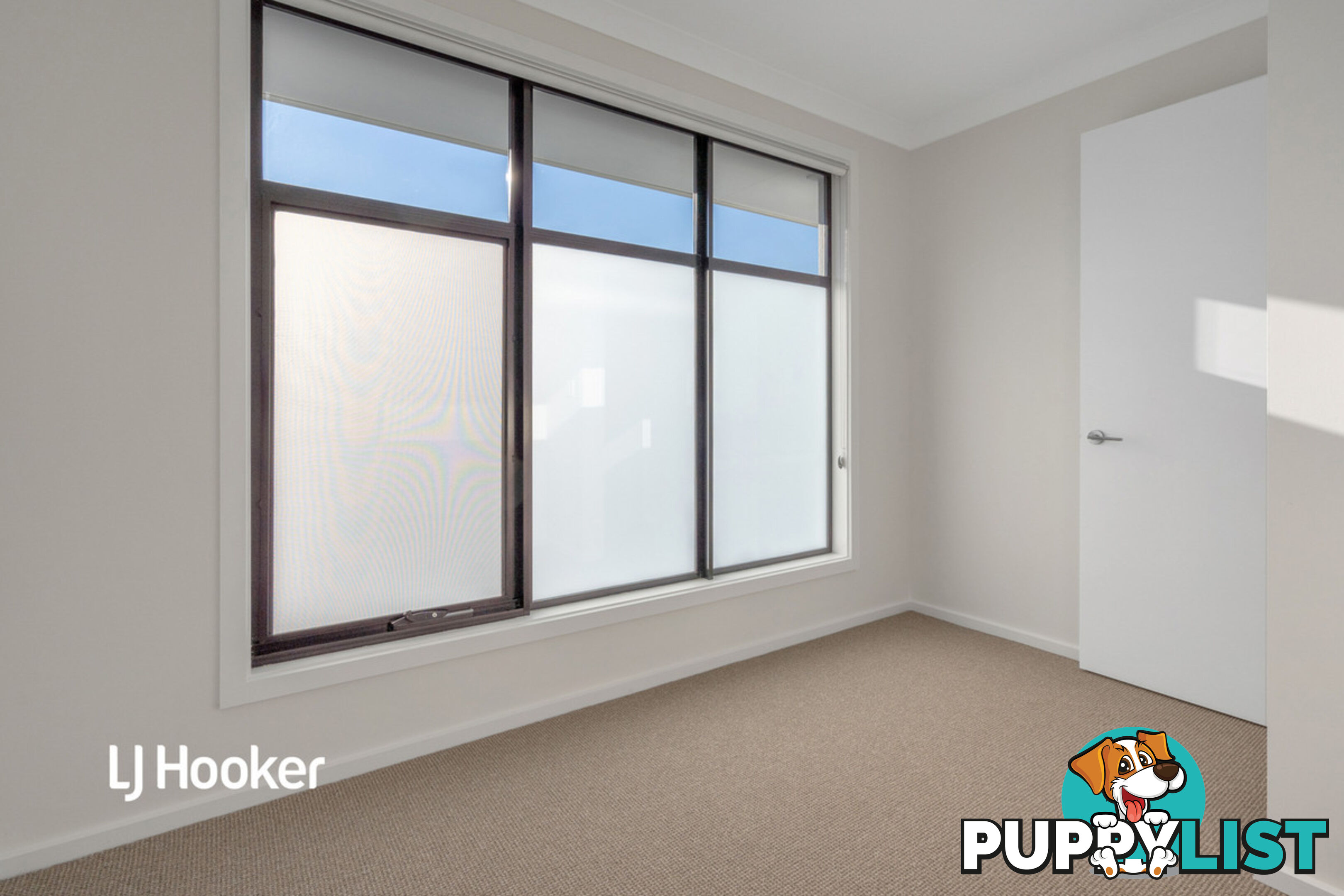 6 Pine Street CAMPBELLTOWN SA 5074