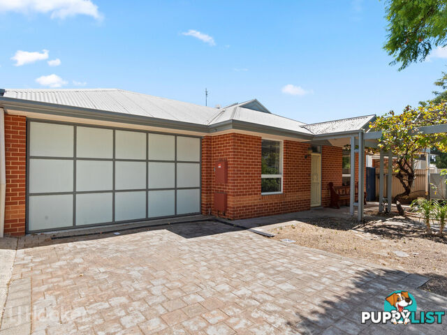 25 Sydney Street GLENSIDE SA 5065