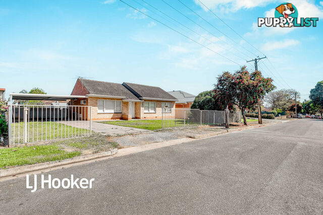 12 Pierson Street HECTORVILLE SA 5073