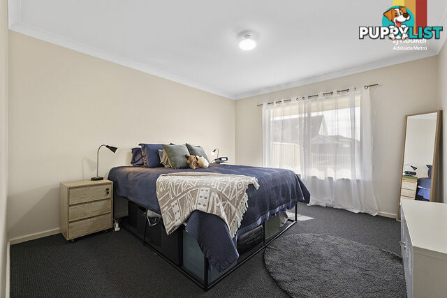 3/1 Price Avenue KLEMZIG SA 5087