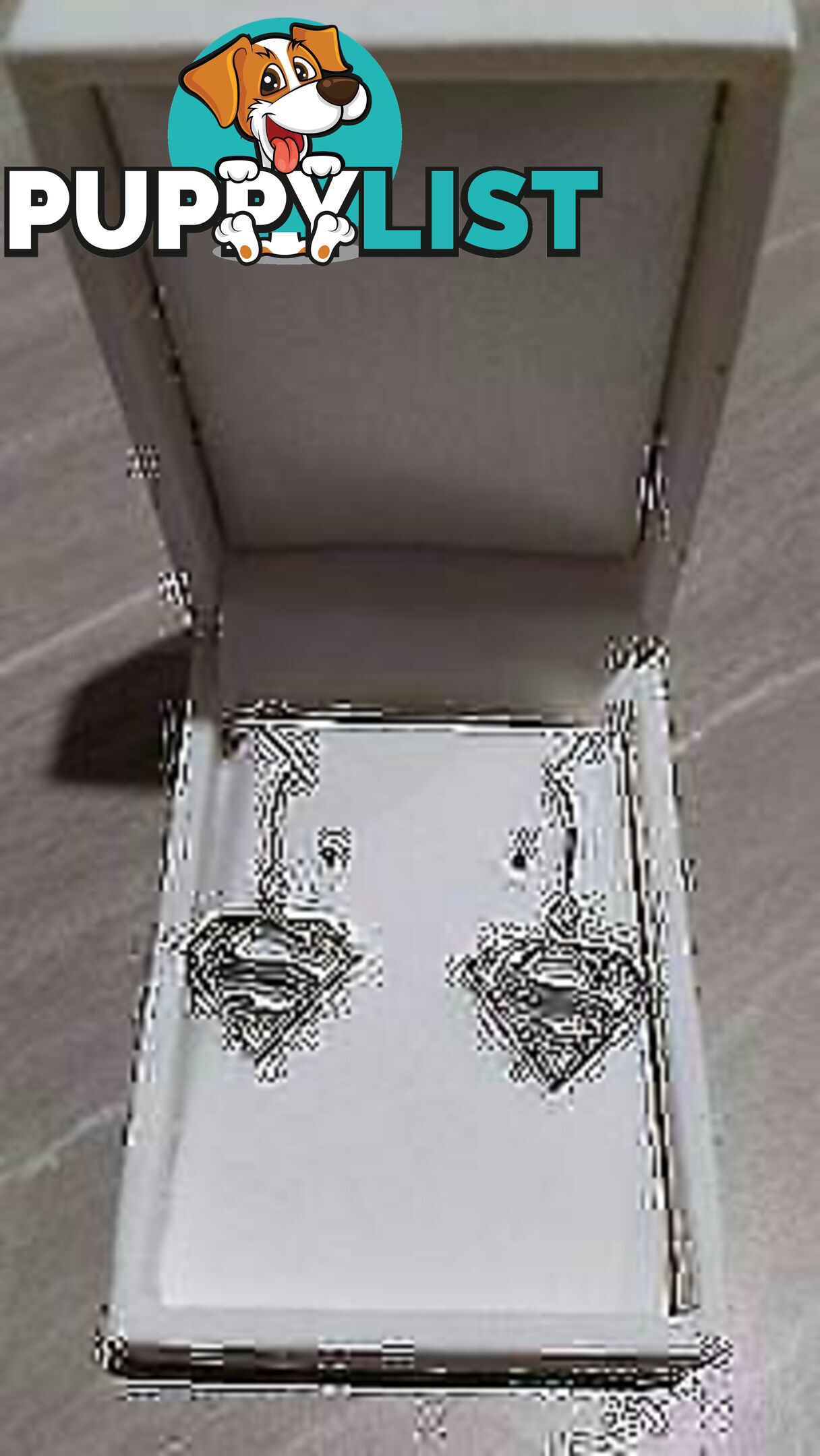 Superman Sterling Silver Hook Earrings