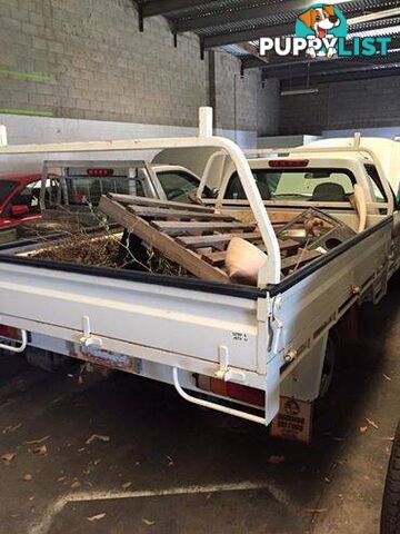 STEEL UTE TRAY WITH LADDER RACKS HOLDEN ISUZU FORD MAZDA TOYOTA