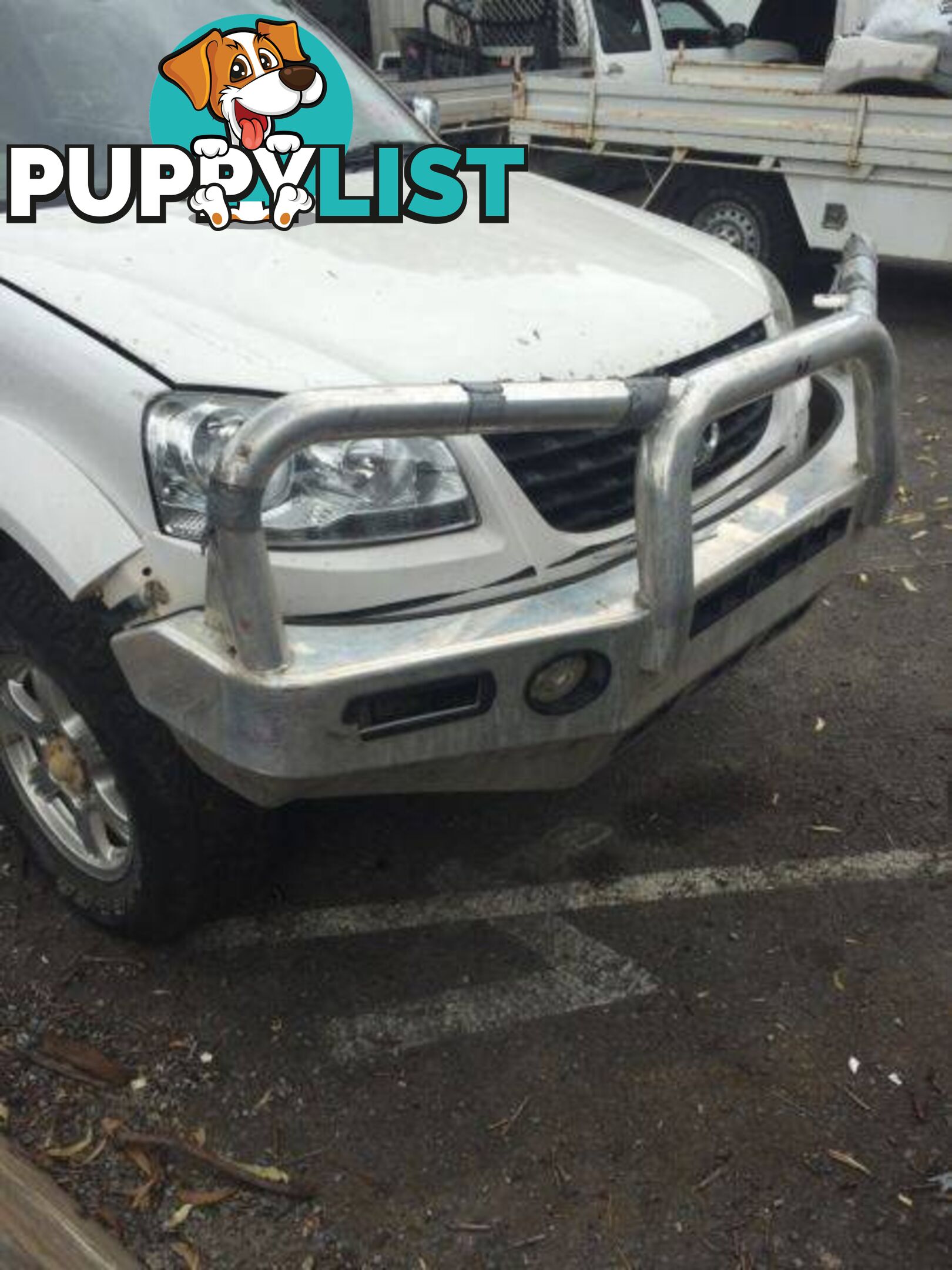 2011 Onward Greatwall V200 V240 Alloy Bullbar