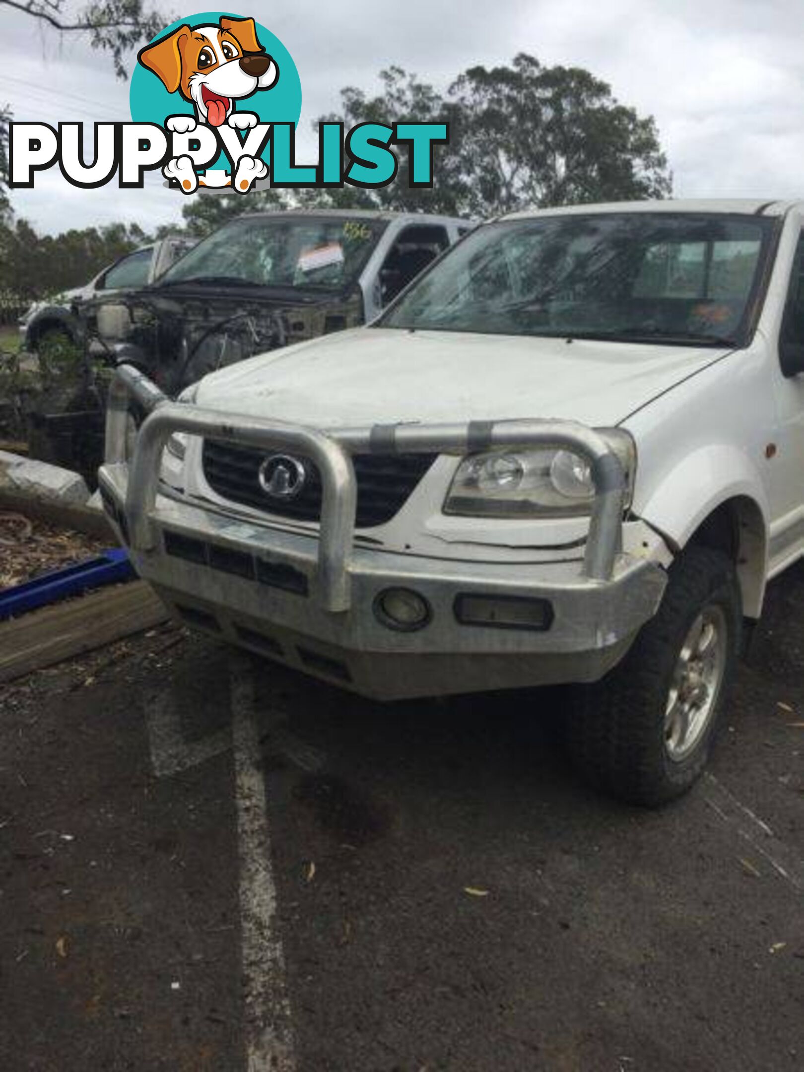 2011 Onward Greatwall V200 V240 Alloy Bullbar