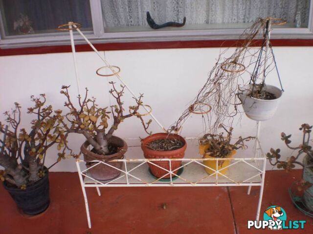 POT PLANTERS, POTS & VASE STANDS -- INDOOR, OUTDOOR