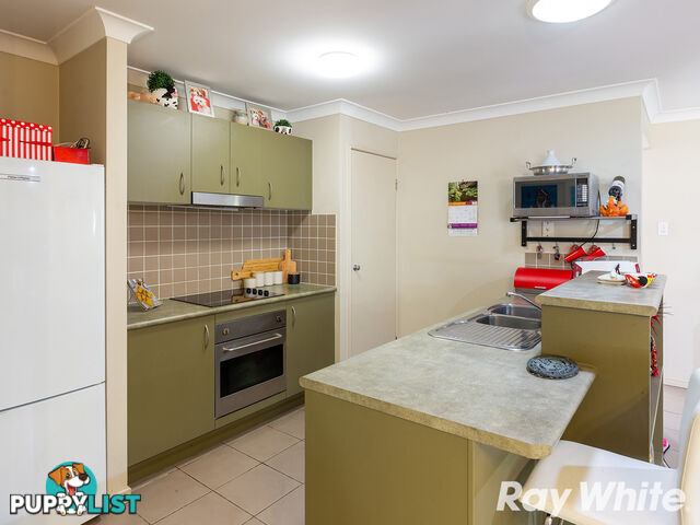 6 Mount Coot tha Place ALGESTER QLD 4115