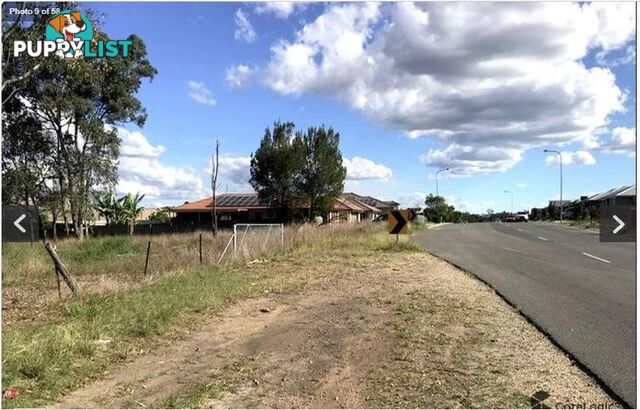 161 Bush Tucker Road BERRINBA QLD 4117