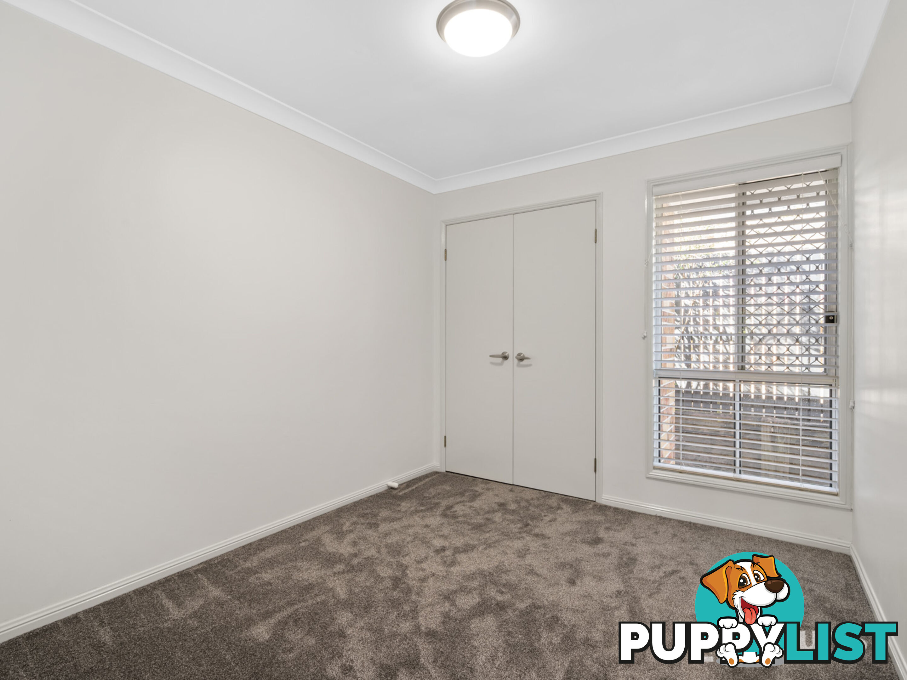 1 Corypha Crescent CALAMVALE QLD 4116