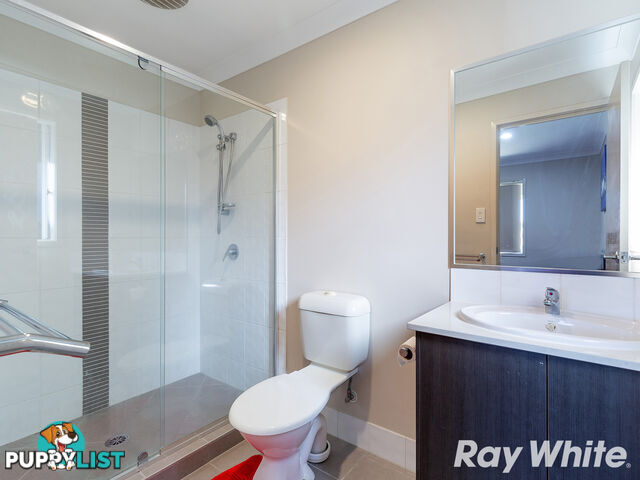 20 Spotted Gum Street HEATHWOOD QLD 4110