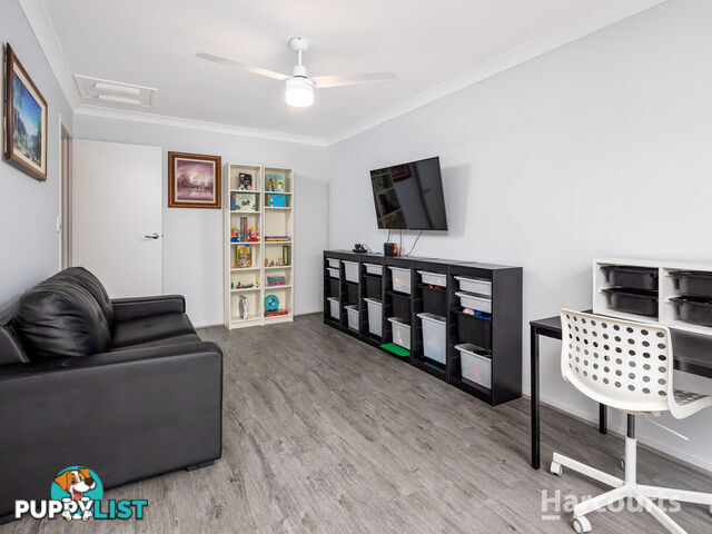 92 Ditton Road SUNNYBANK HILLS QLD 4109