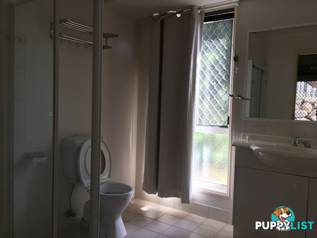 13 Freeman Place CALAMVALE QLD 4116