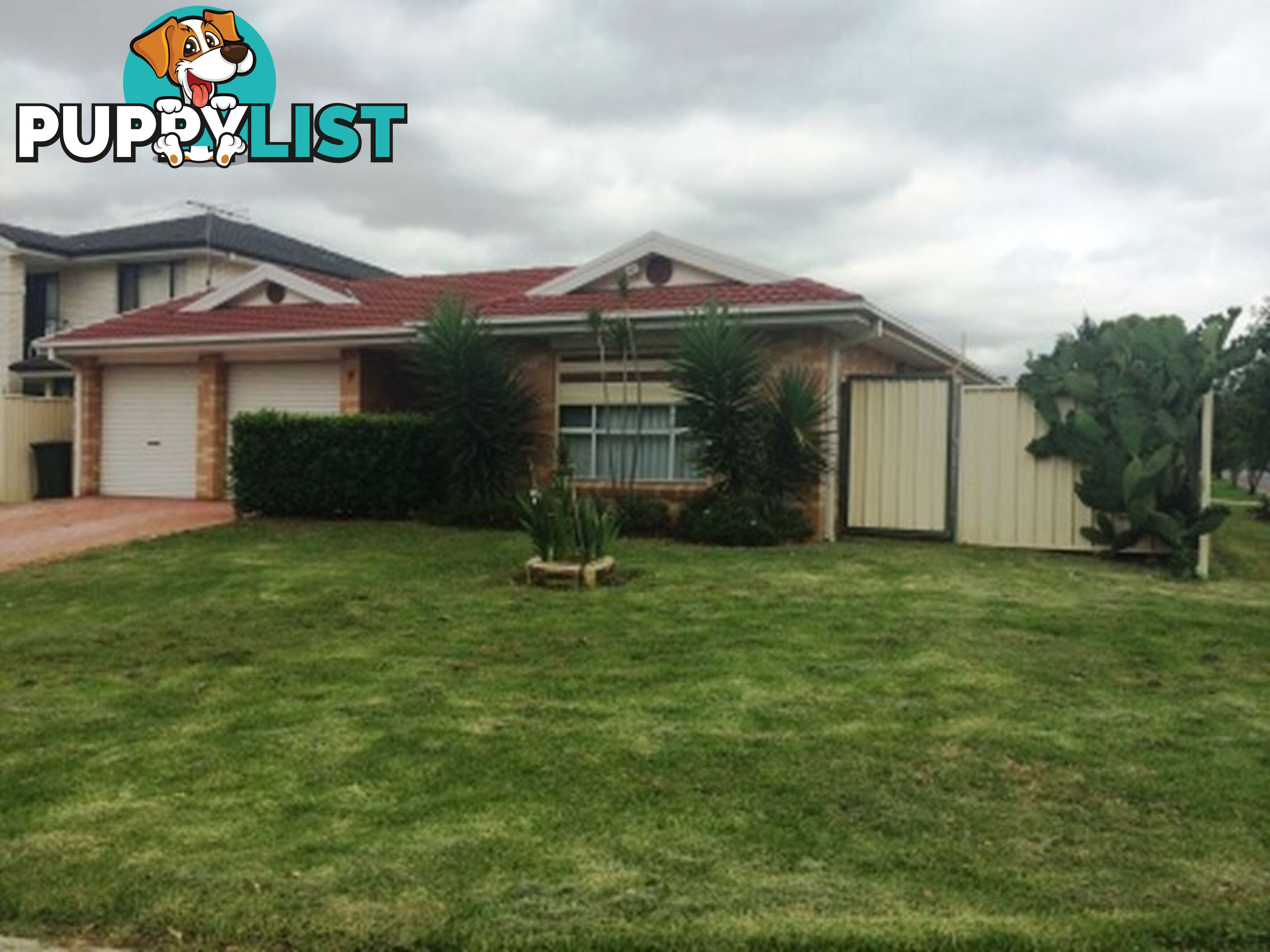 77 Hamrun Circuit ROOTY HILL NSW 2766