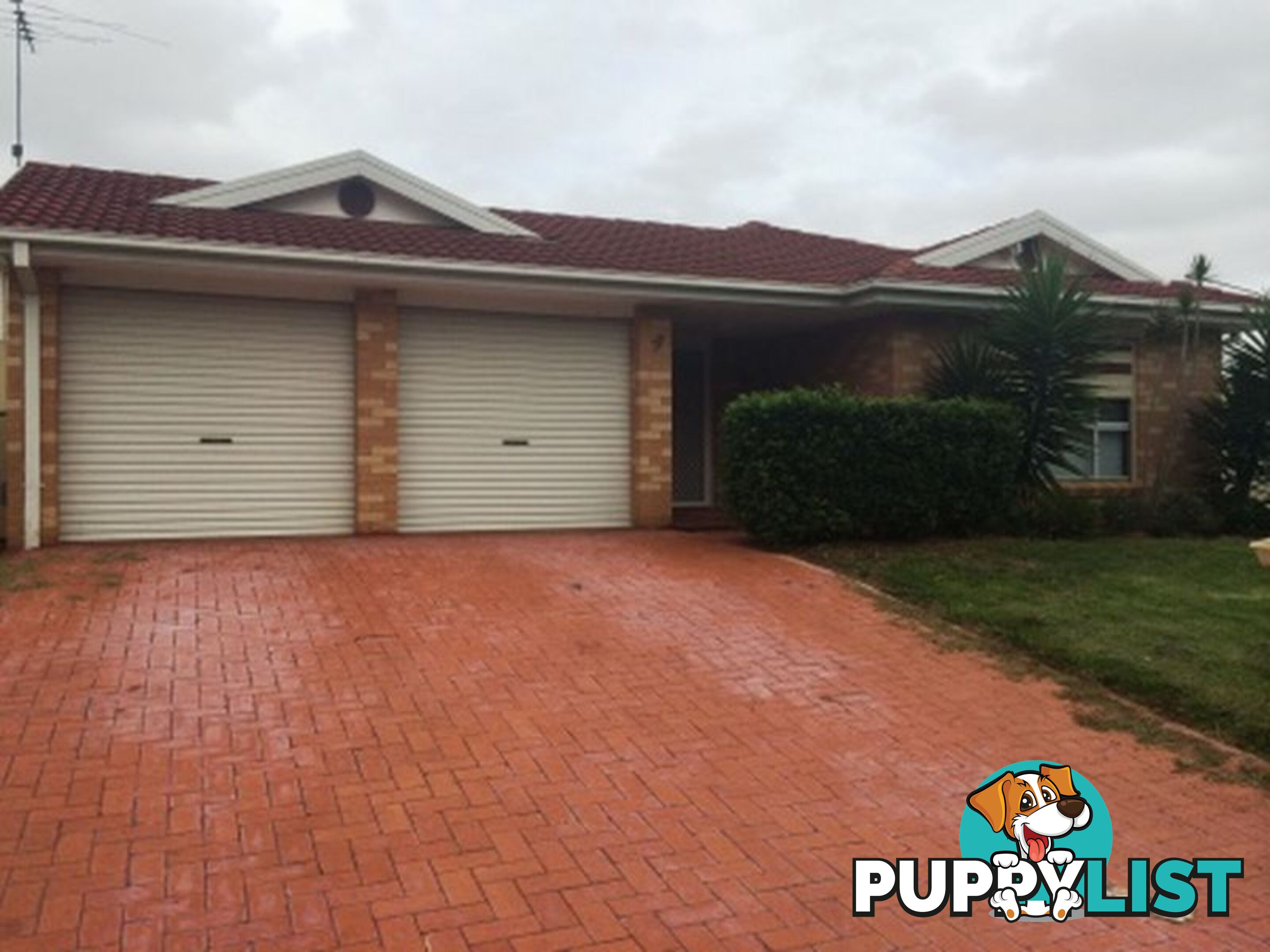 77 Hamrun Circuit ROOTY HILL NSW 2766