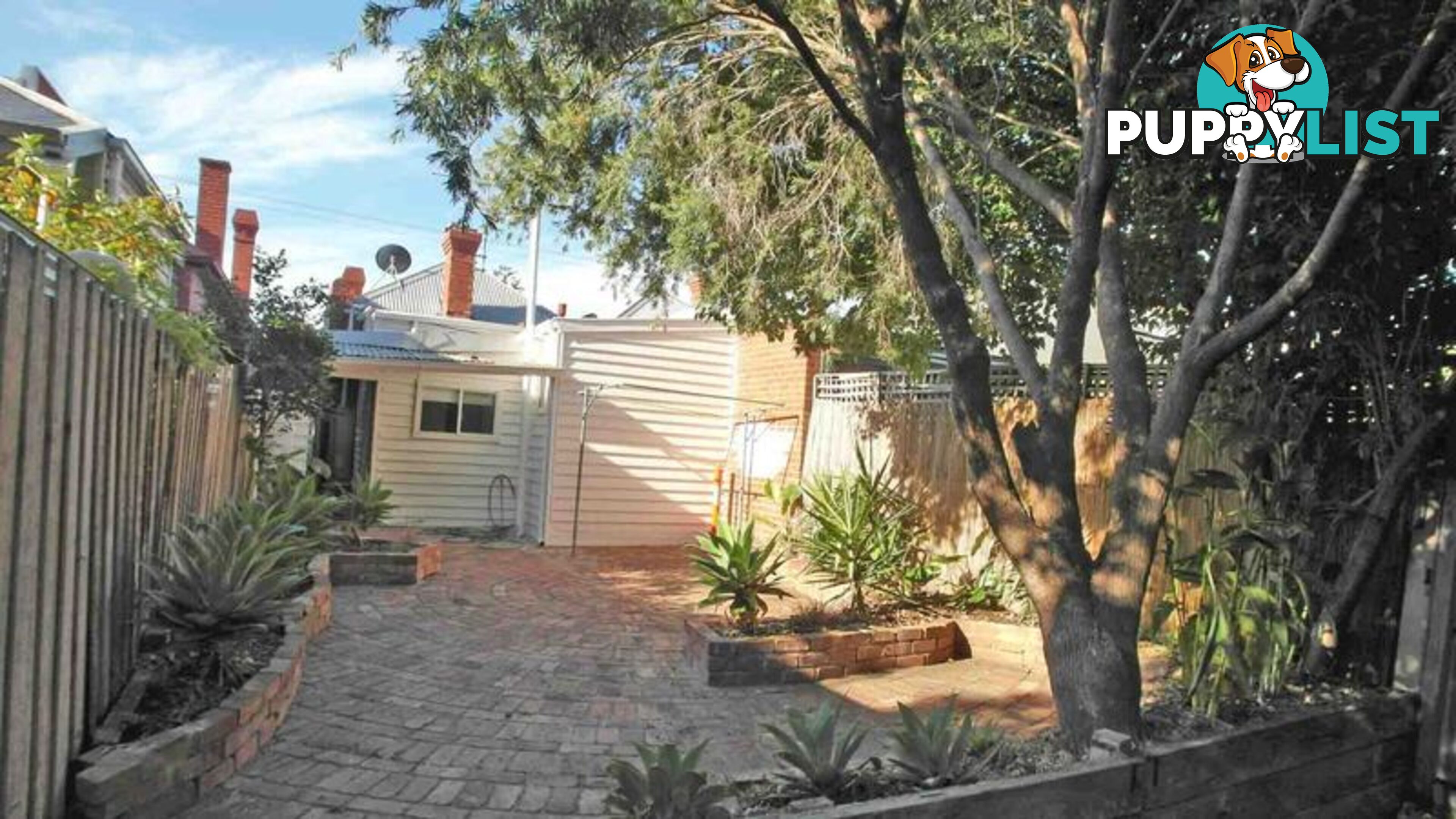 77 Ramsden Street CLIFTON HILL VIC 3068