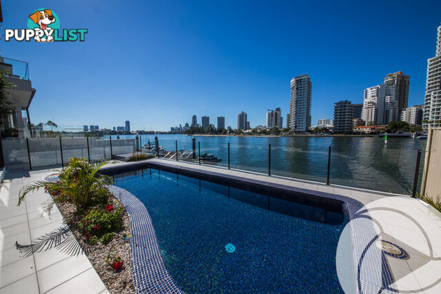 51 Stanhill Drive Surfers Paradise QLD 4217