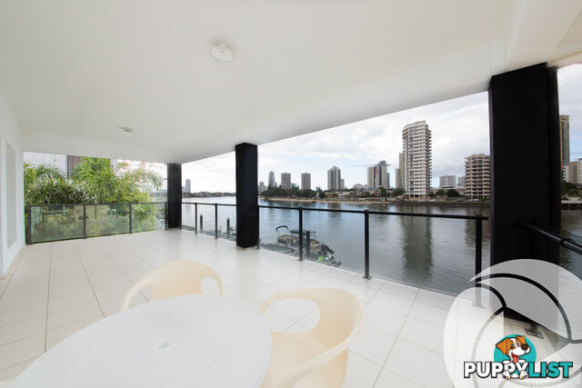 51 Stanhill Drive Surfers Paradise QLD 4217