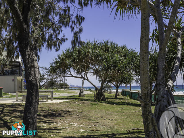 6 O'Connor Street Tugun QLD 4224