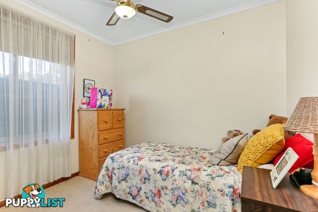 2 47 Payne Street Hope Valley SA 5090