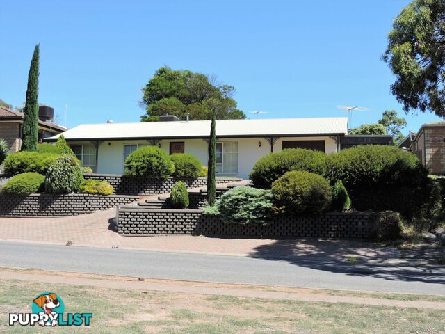 17 McGill Crescent Para Hills SA 5096