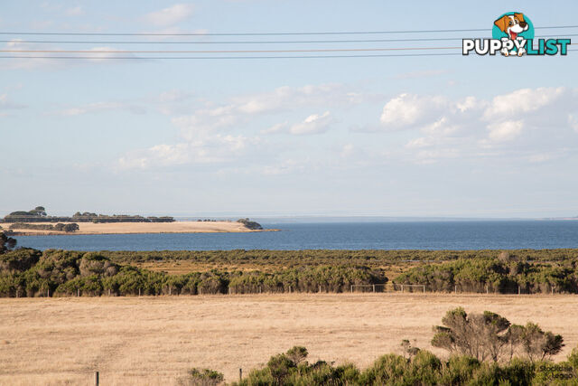 89-91 Phillip Island Road Surf Beach VIC 3922