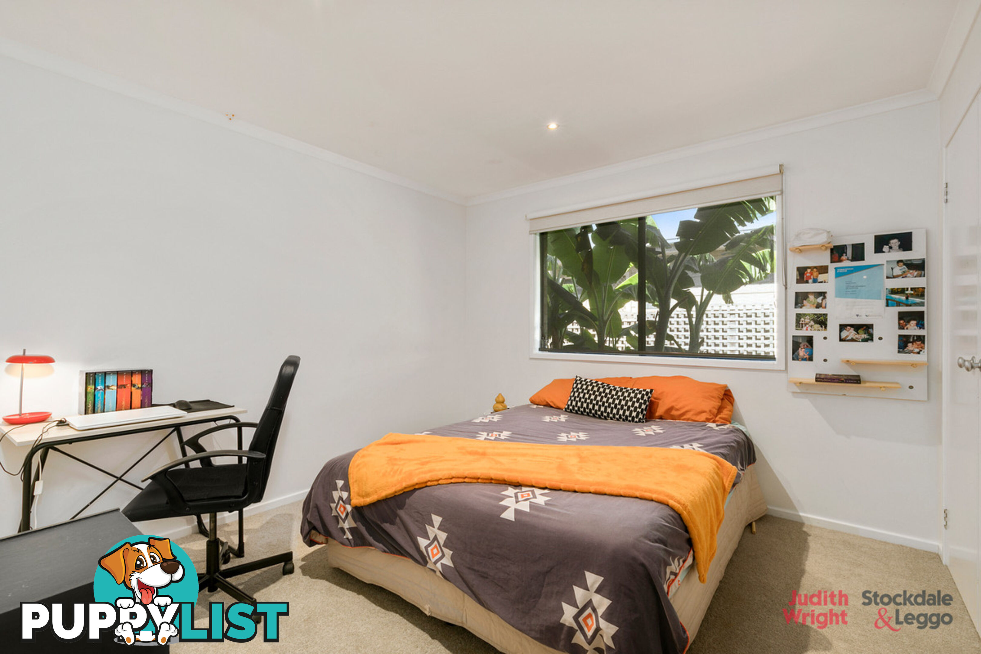 13 Anthony Court Cowes VIC 3922