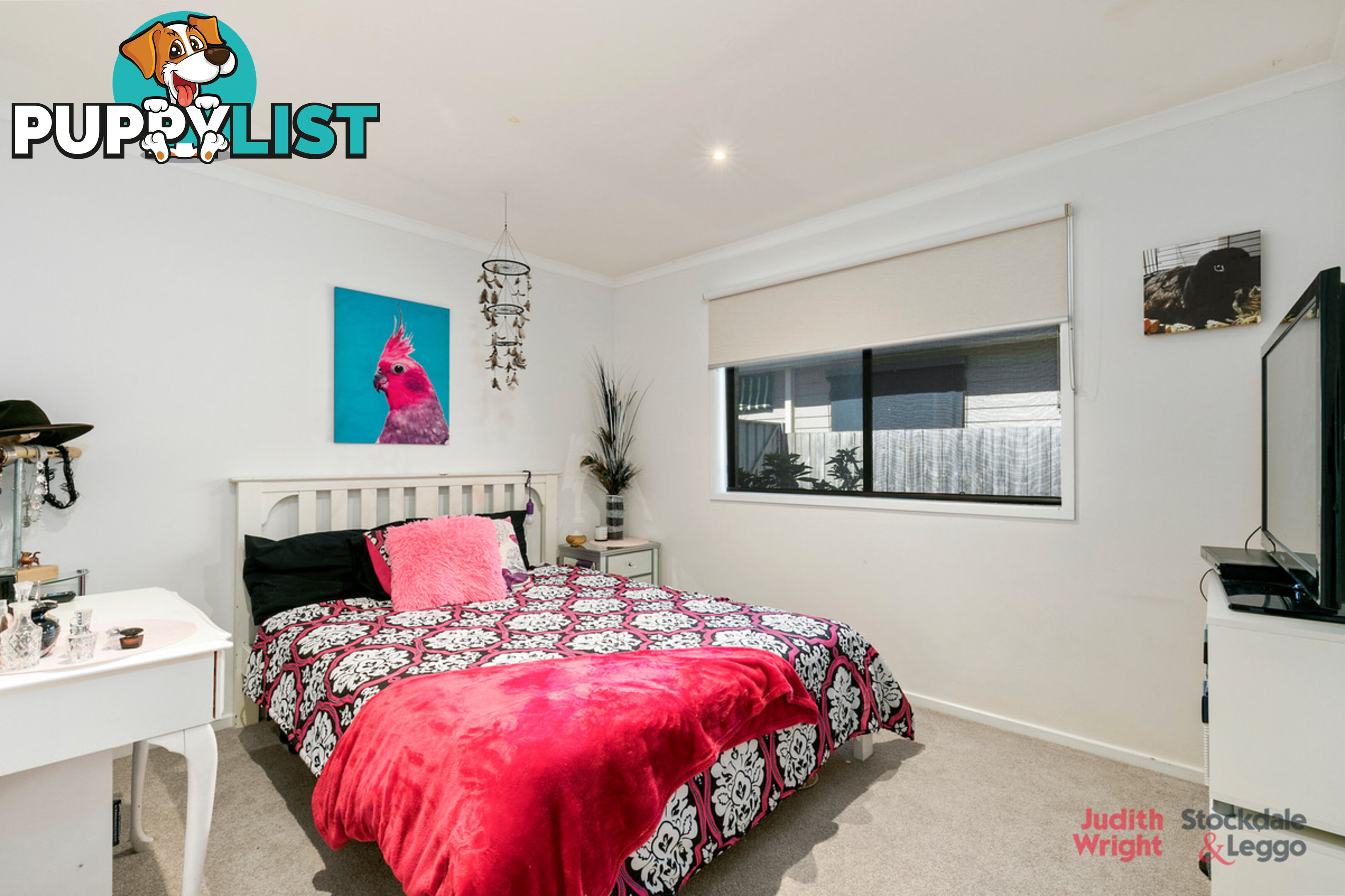 13 Anthony Court Cowes VIC 3922