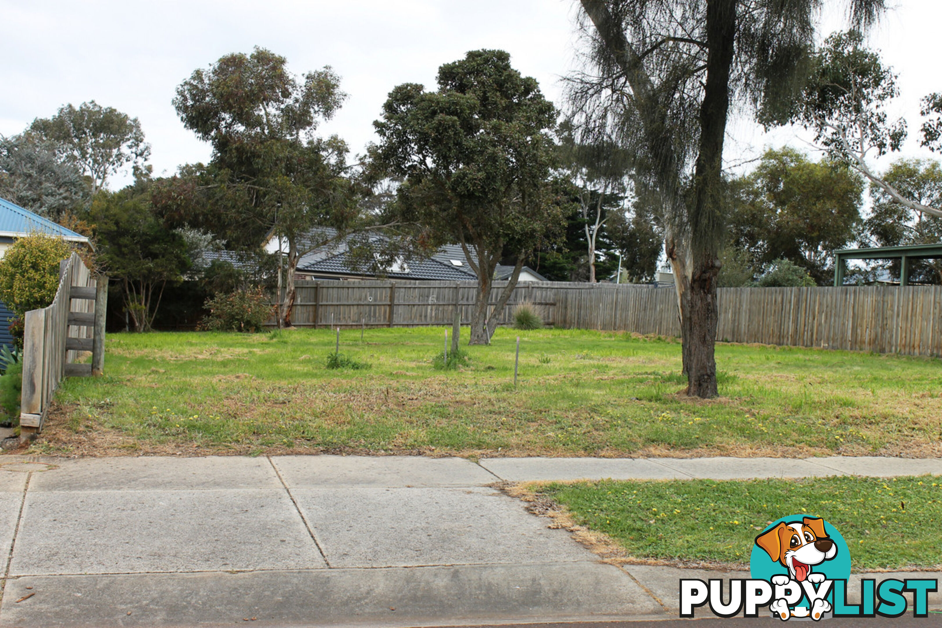 9 Manna Gum Drive Cowes VIC 3922