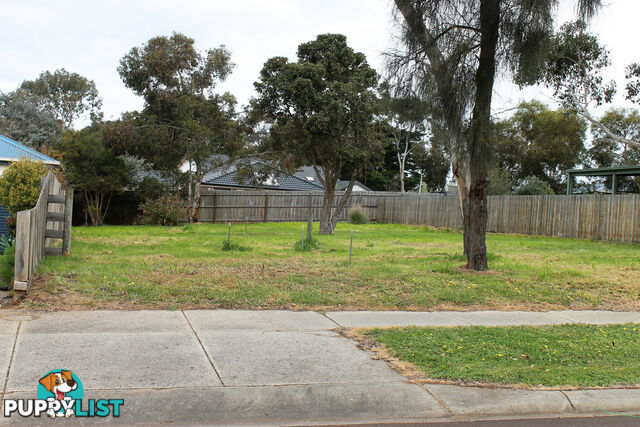 9 Manna Gum Drive Cowes VIC 3922