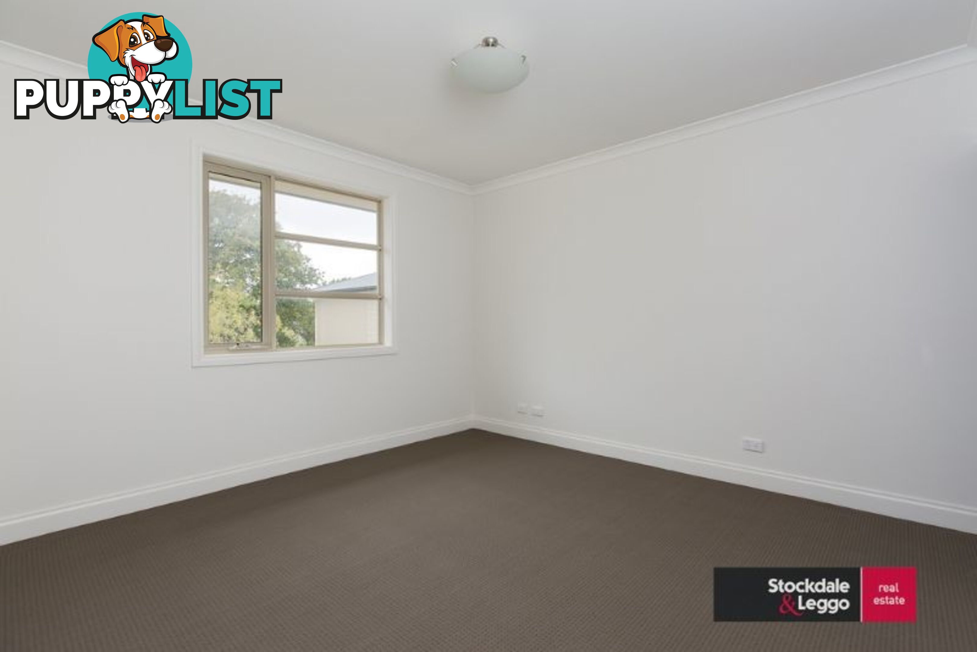 1 6 Albert Street Cowes VIC 3922