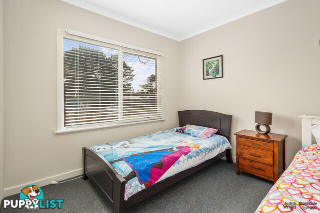 31 Pine Avenue Cowes VIC 3922