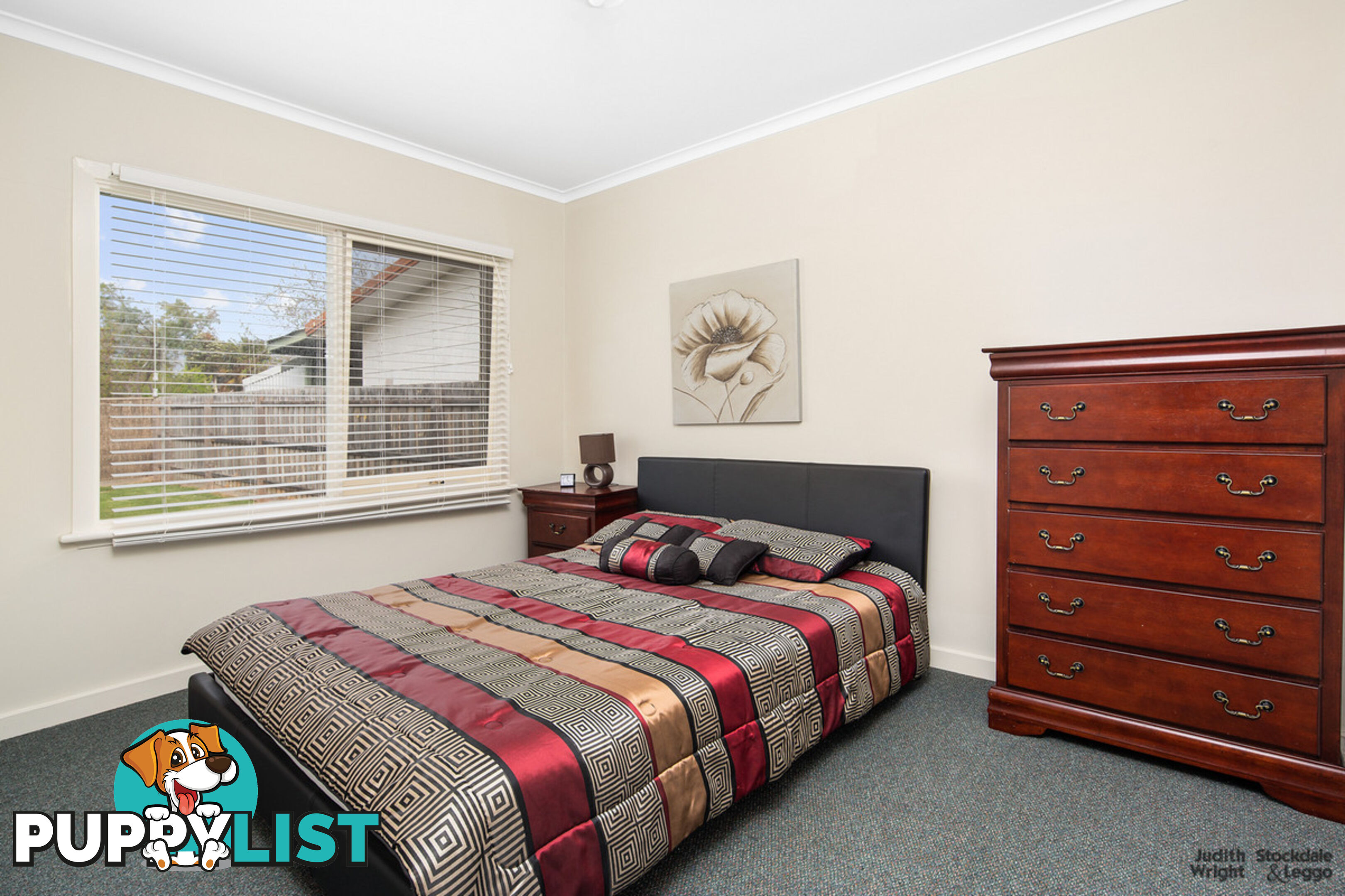 31 Pine Avenue Cowes VIC 3922