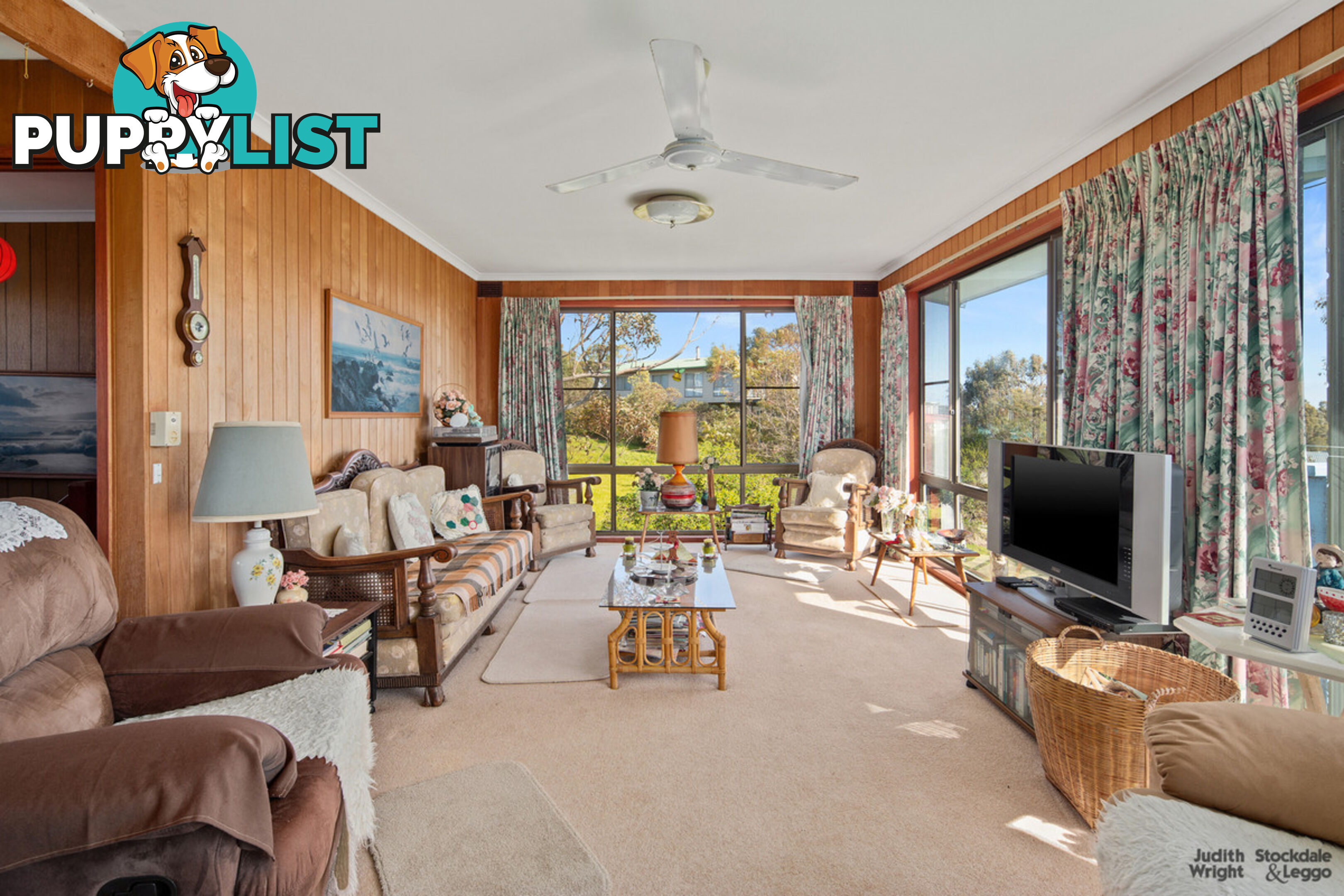 16 Shalfleet Avenue Ventnor VIC 3922