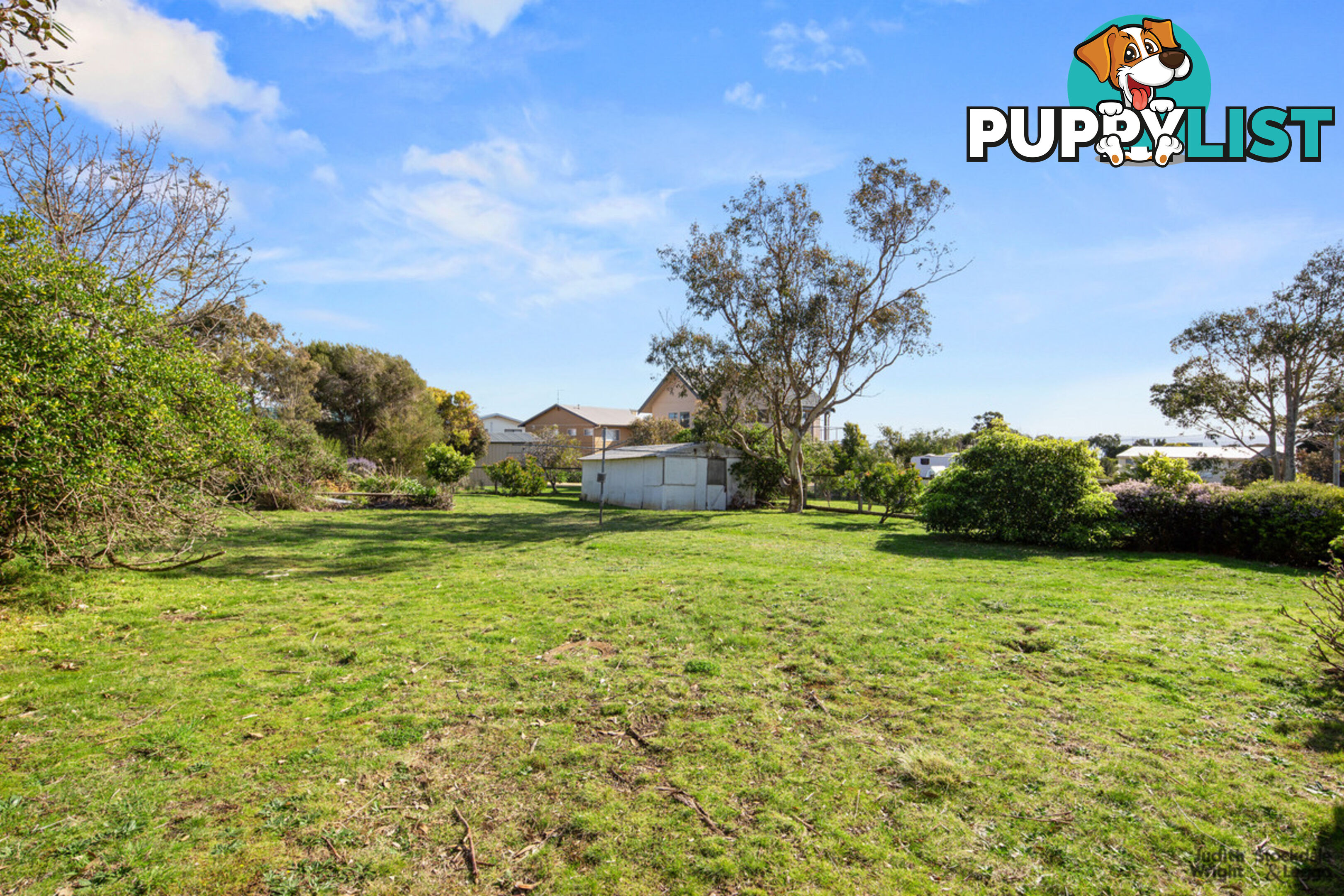 16 Shalfleet Avenue Ventnor VIC 3922