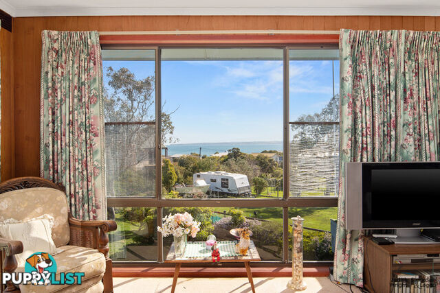 16 Shalfleet Avenue Ventnor VIC 3922