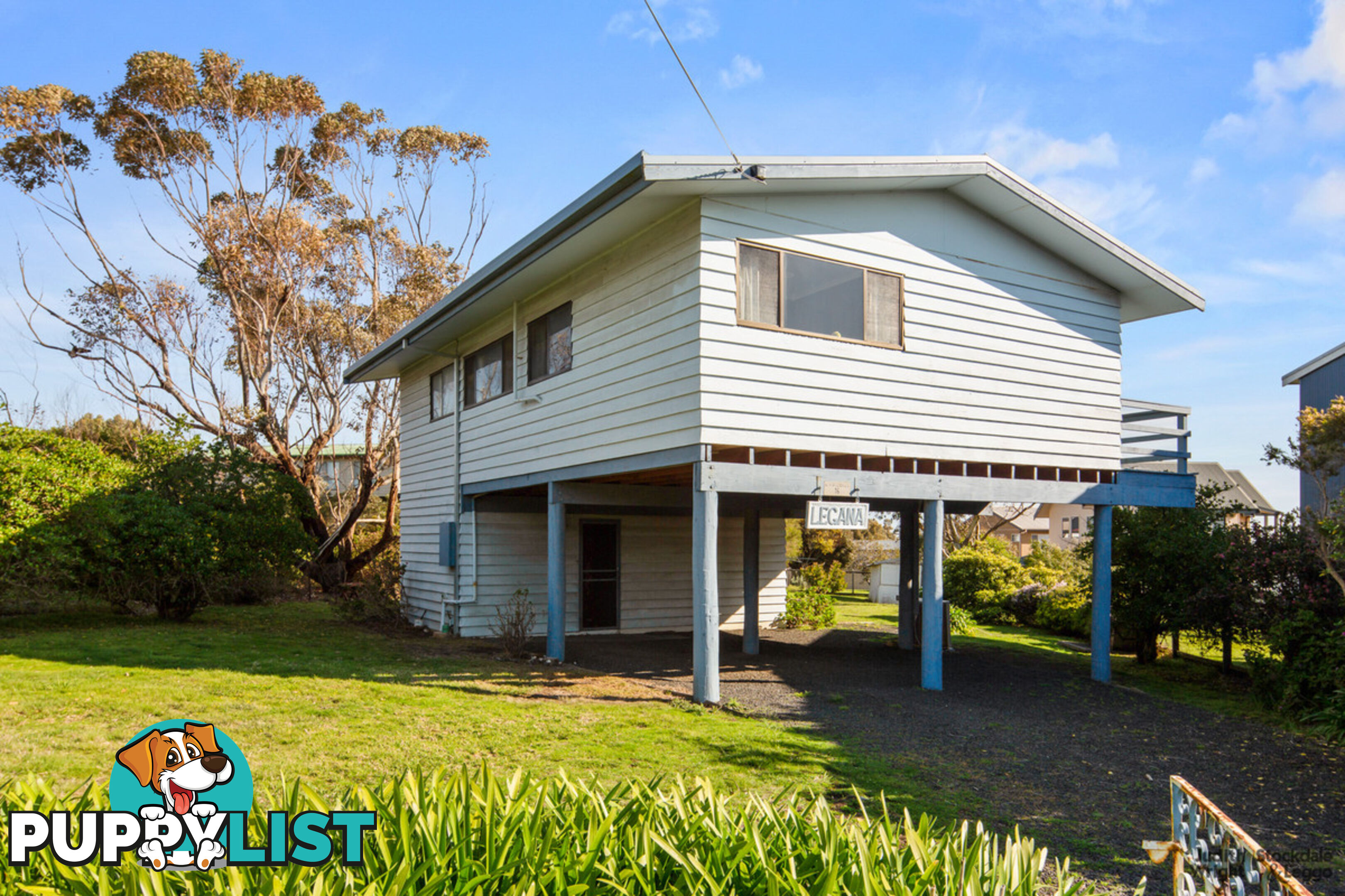 16 Shalfleet Avenue Ventnor VIC 3922