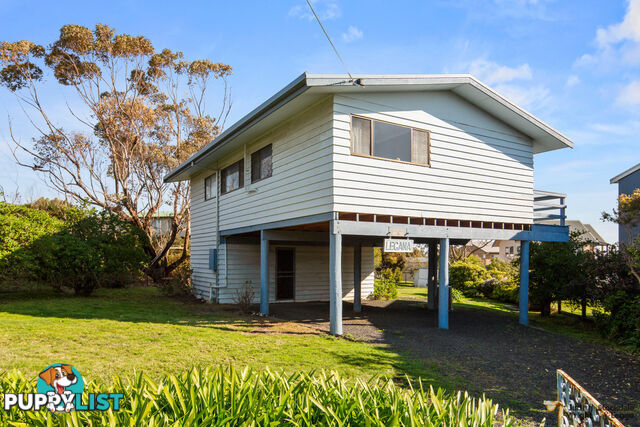 16 Shalfleet Avenue Ventnor VIC 3922