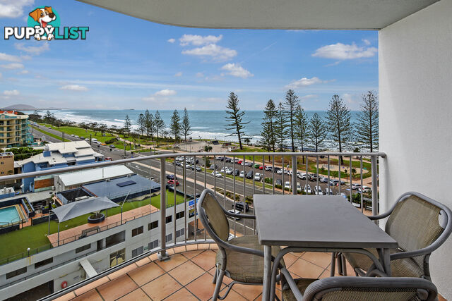 36 174 Alexandra Pde Alexandra Headland QLD 4572