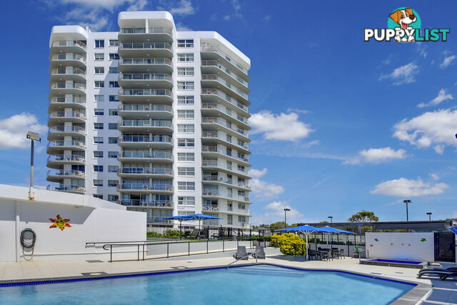 36 174 Alexandra Pde Alexandra Headland QLD 4572