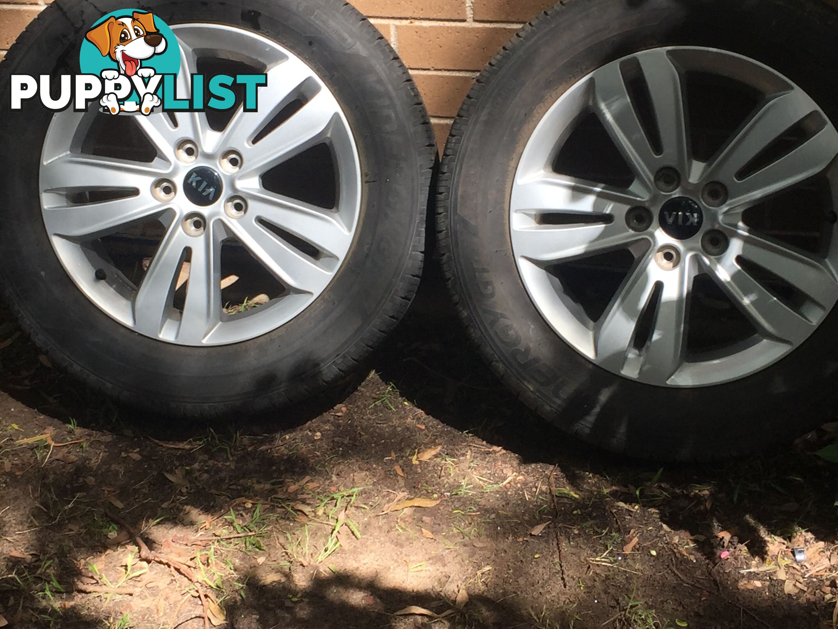 Kia Sportage wheels + tyres