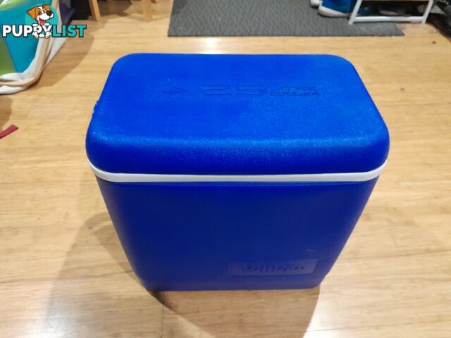 WILLOW MEDIUM COOLER ESKY 25L CHILLI BIN BBQ COOLER DRINKS BOX ICE CHEST MALVERN EAST MELBOURNE